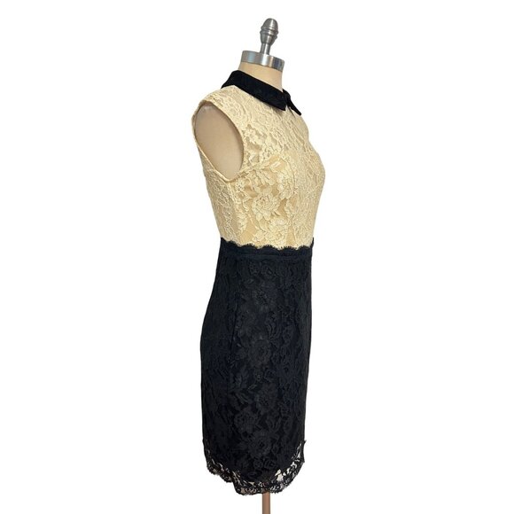 Sandro Ferrone collared lace panel dress Size 42 US 4 6 - Picture 2 of 6